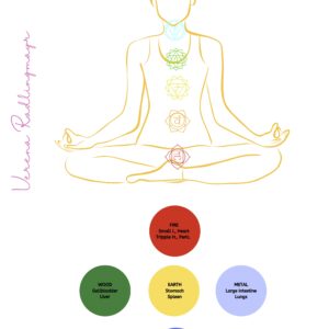 Chakra Infoblatt - 12 Chakren im Überblick (im NL oder der kostenpfl. Analyse)