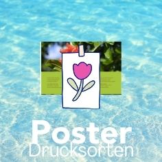 Drucksachen, Poster
